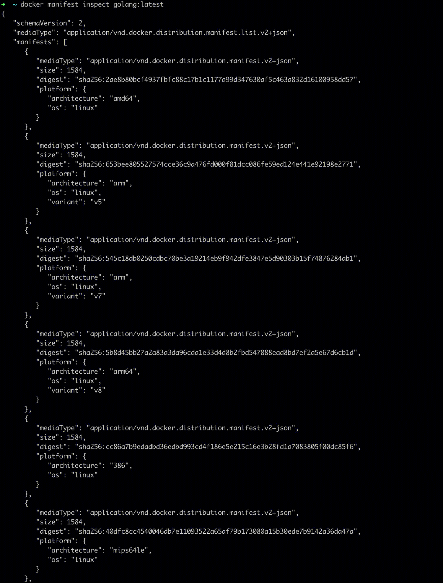 go image manifest