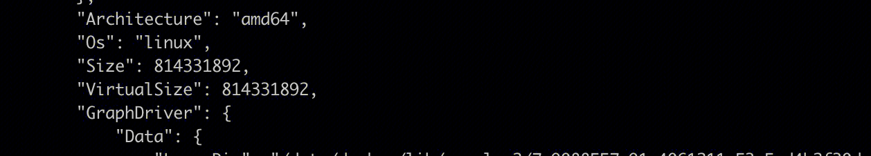 go image x86